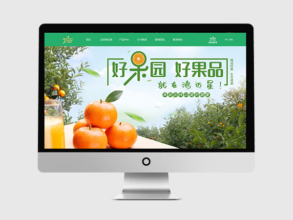 广西鸿迈星果业网站案例