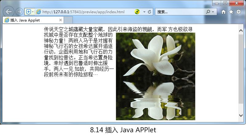 插入-Java-[**]PPlet